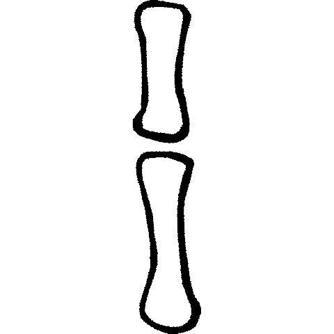 律吕调阳甲骨文,甲骨文每日金句