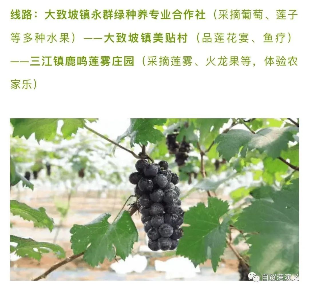 美兰现状,美兰现在状况