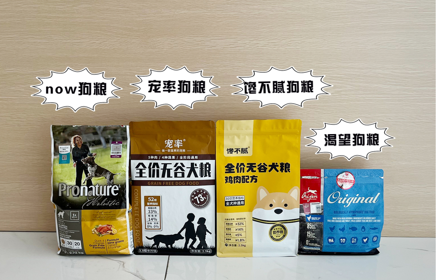 狗狗爱撒娇,推荐你养这几种狗聪明又招财