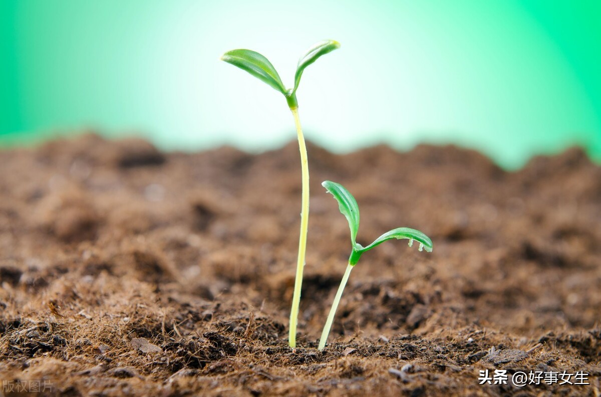 妈妈去世了我怎么办,妈妈去世前我能做什么