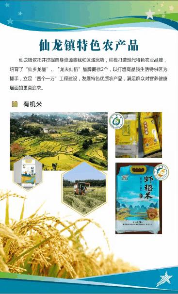 永川仙龙油菜花基地,仙龙油菜花节