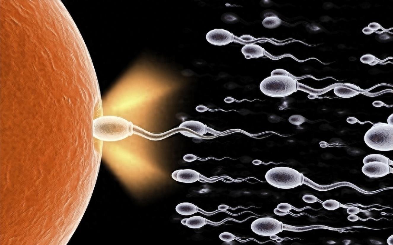 穿越时空的勇士,穿越时空的小战士