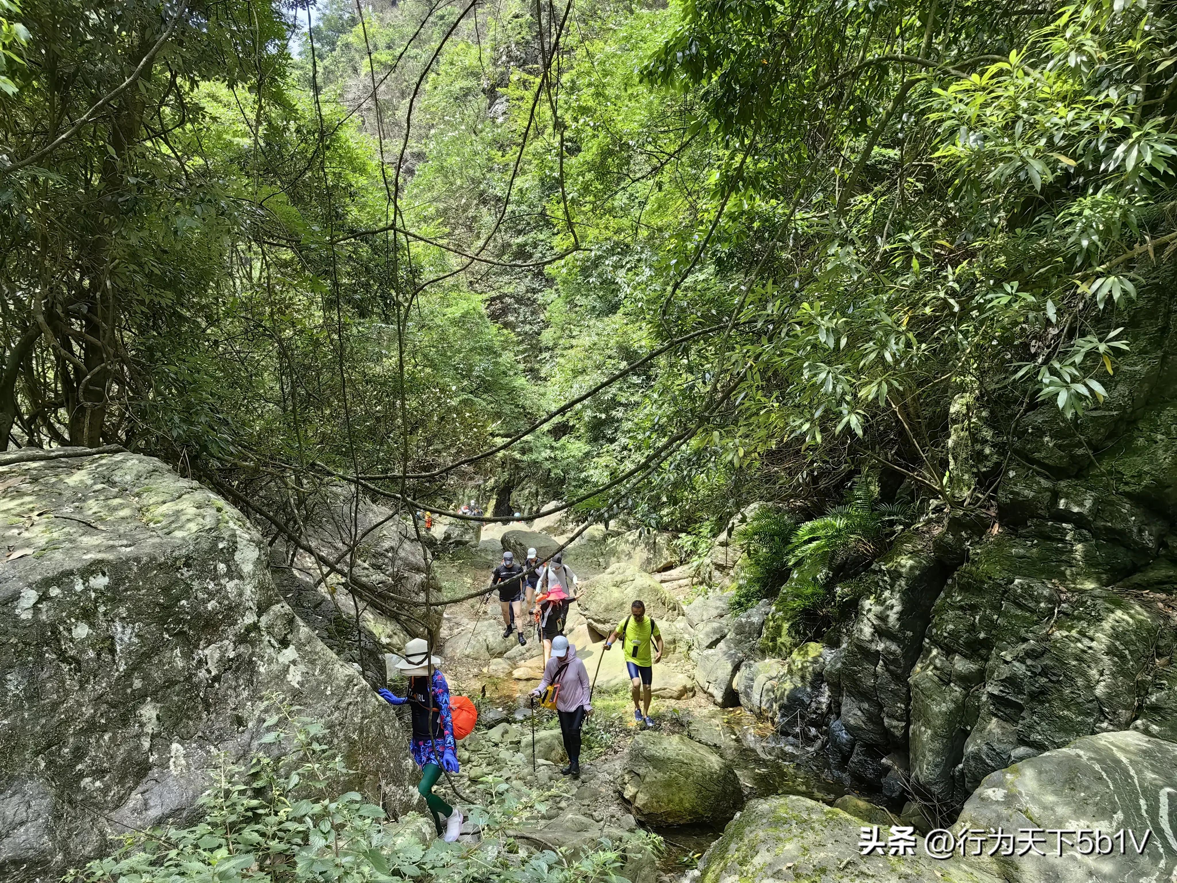 【探秘金紫山下的清凉秘境】行走在资源资江源大峡谷的风景线上