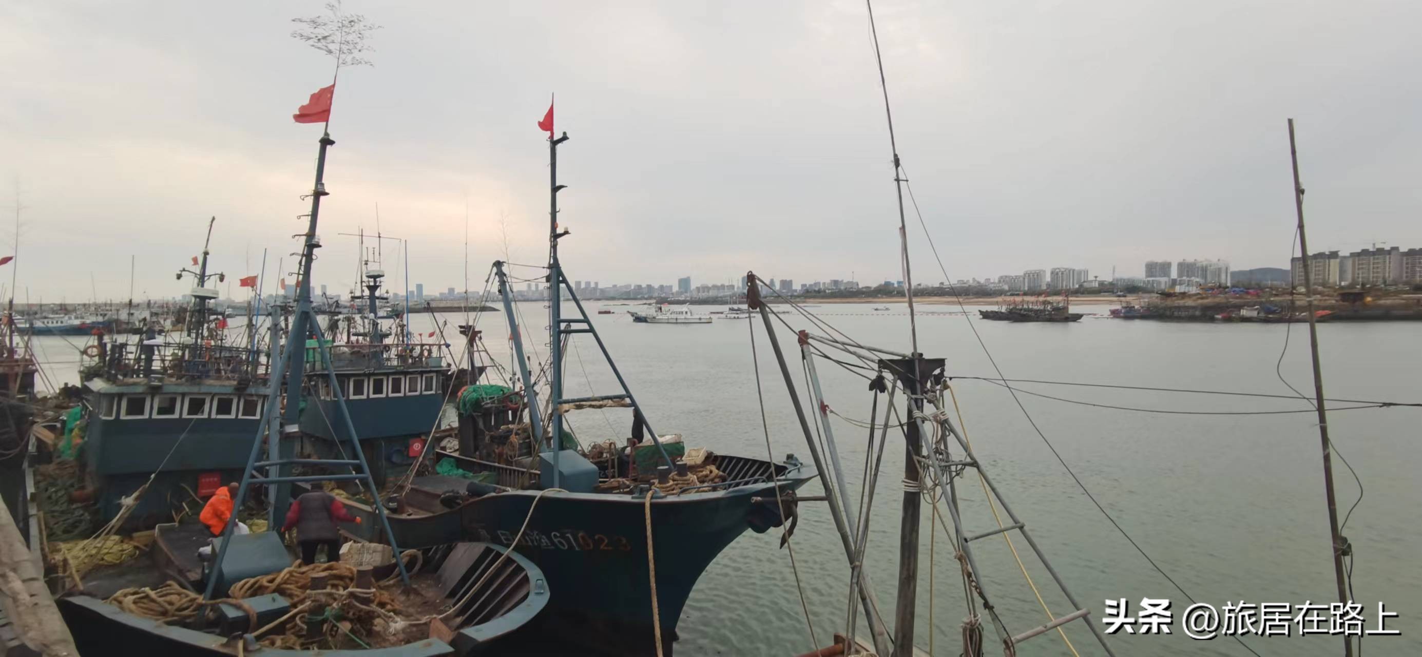 日照天气,日照直播