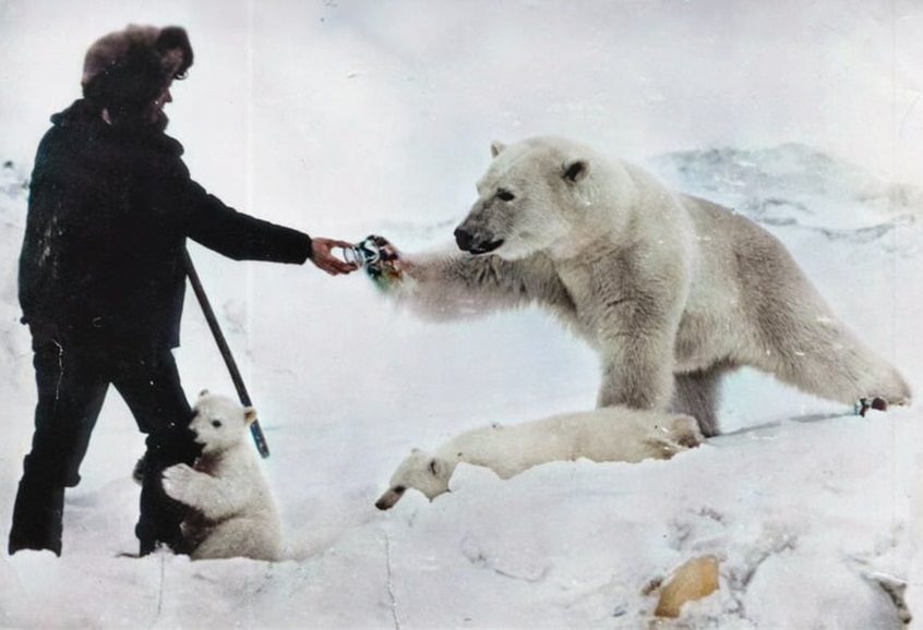 缇庡浗濂充汉閫夌編鍥剧墖,缇庡浗濂充汉鏈嶈姣旇禌