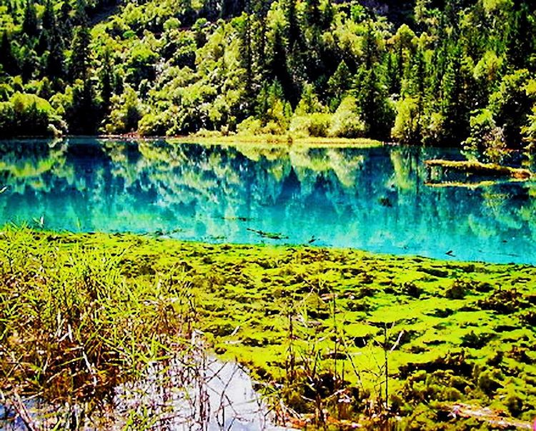 碧水逶迤湖色映九寨，银河泻影山水傲溟渤美篇制作：刘嘉国