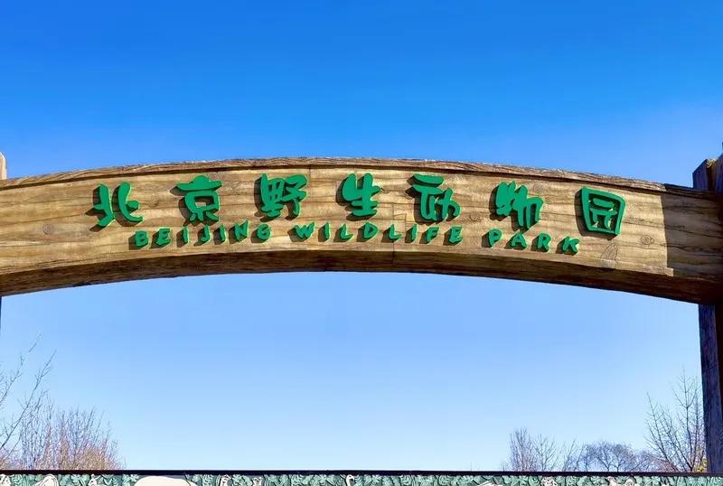 北京大兴附近旅游城市,中国旅游地图打卡