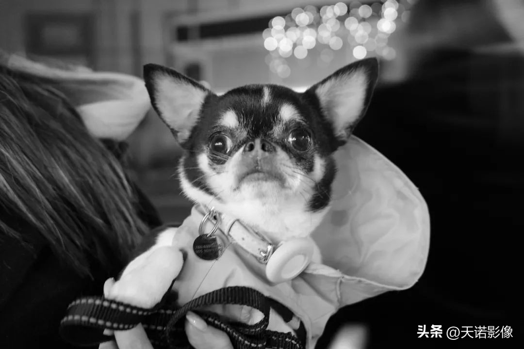 理光GRⅢGRⅢx为什么要双持?