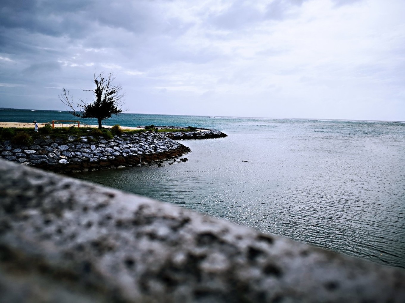 暑期档2019年,2019年暑期档