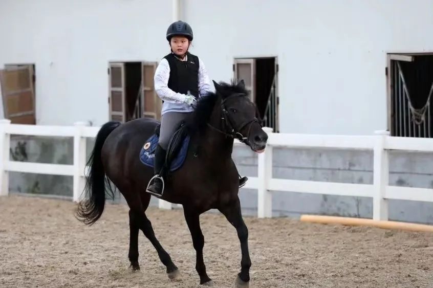 “我想多拿几块金牌！”嘉定、松江健儿全力备战市运会