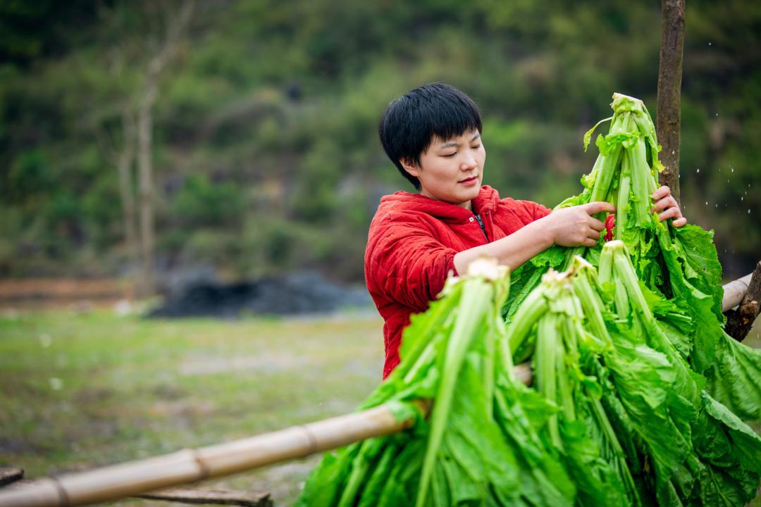 直播卖土特产年赚亿元,创业直播卖农产品