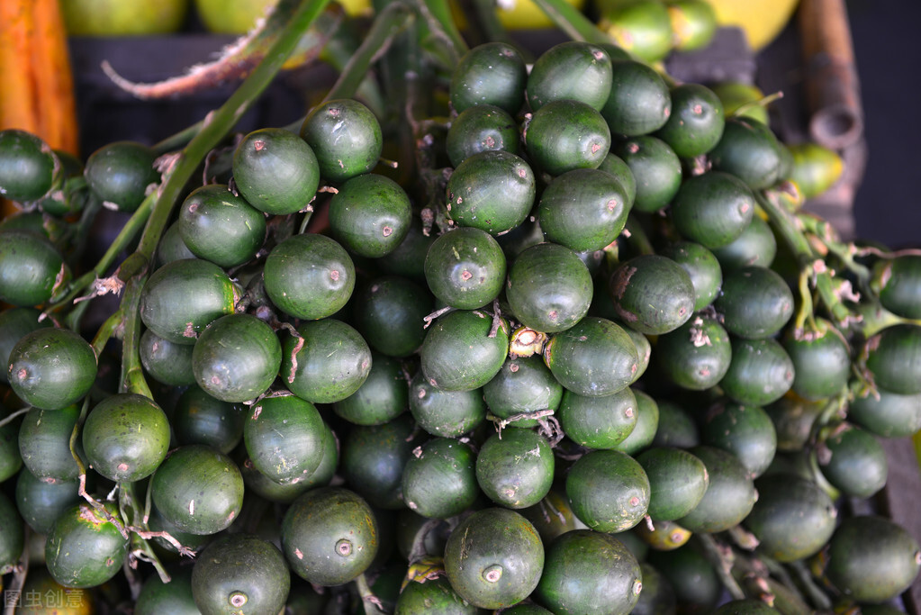 一级致癌物槟榔的危害有多大,5分钟带你了解一级致癌物槟榔