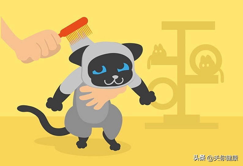 猫感染弓形虫会一直携带吗,弓形虫感染会侵犯一只眼睛吗