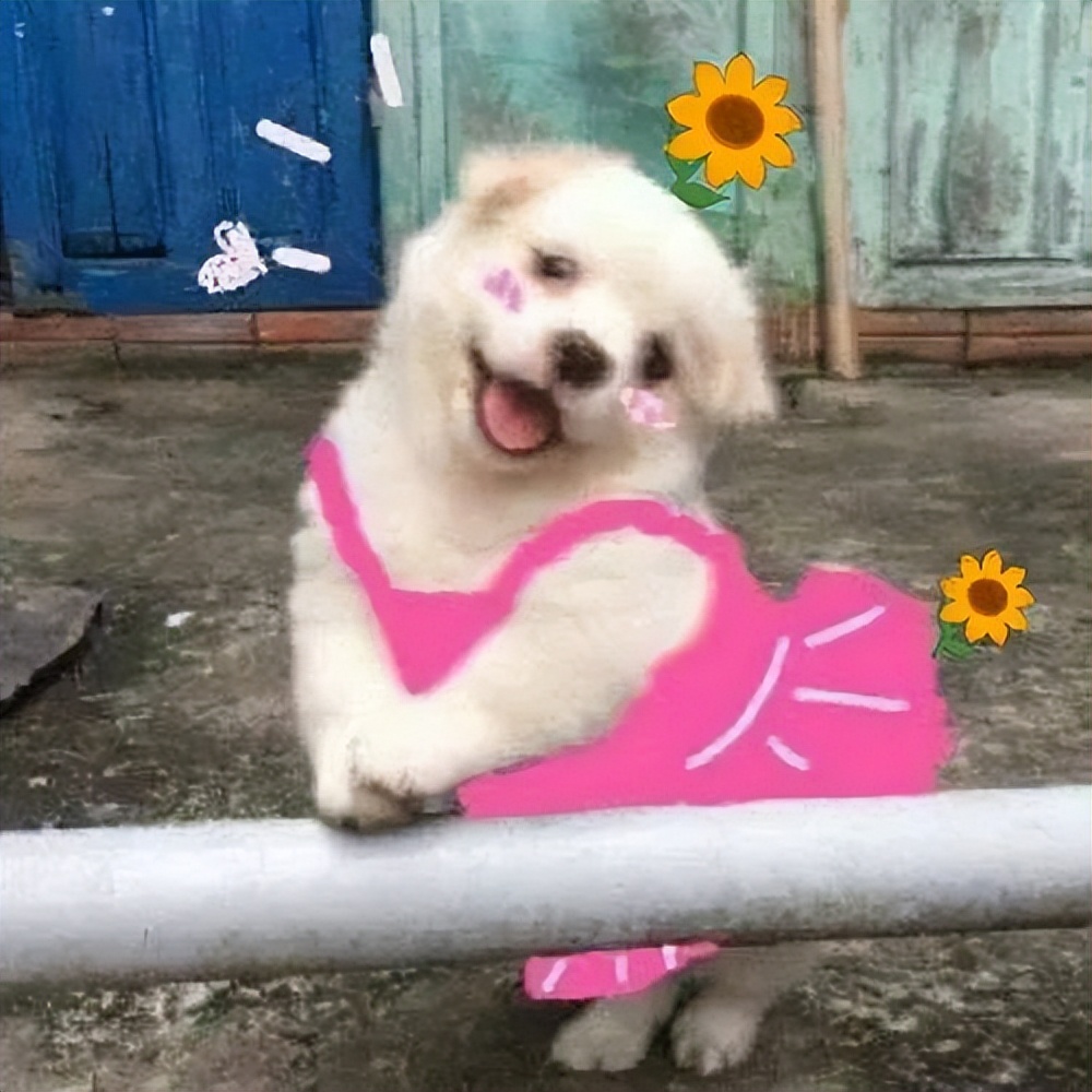 羽绒服新国标更保暖吗,羽绒新国标解读