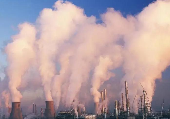 过敏性疾病的认识,过敏性鼻炎的流行病学