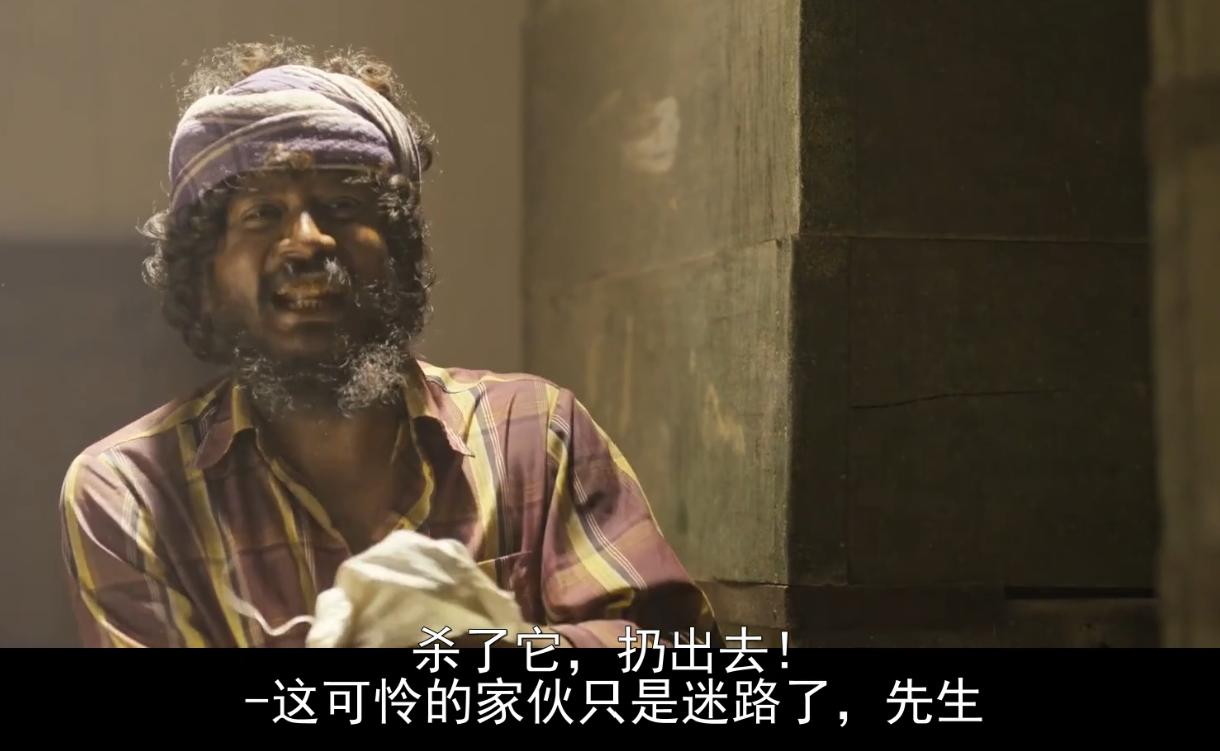 豆瓣8.8的印度电影,印度电影8.8分