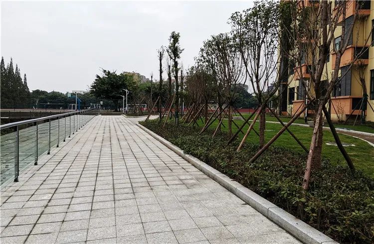 眉山市高中体育特长生招生,洪雅中学高中部招生条件