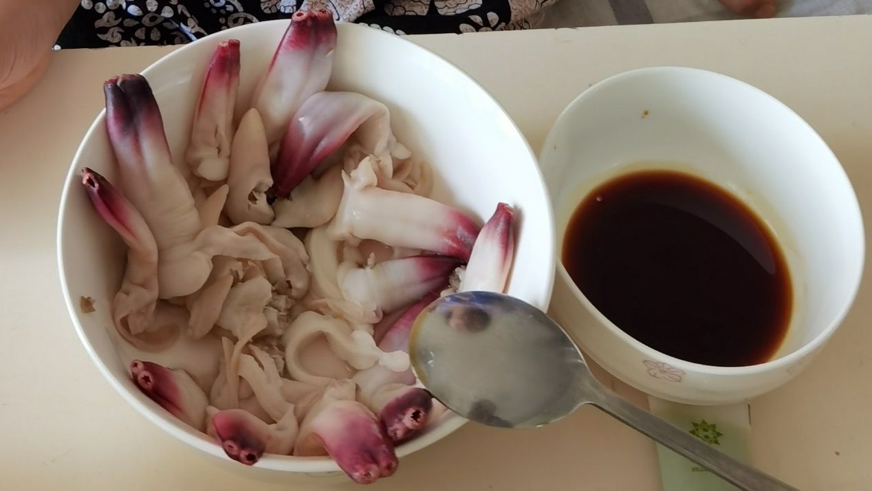 海南海鲜贝类有哪些,海南海鲜贝类