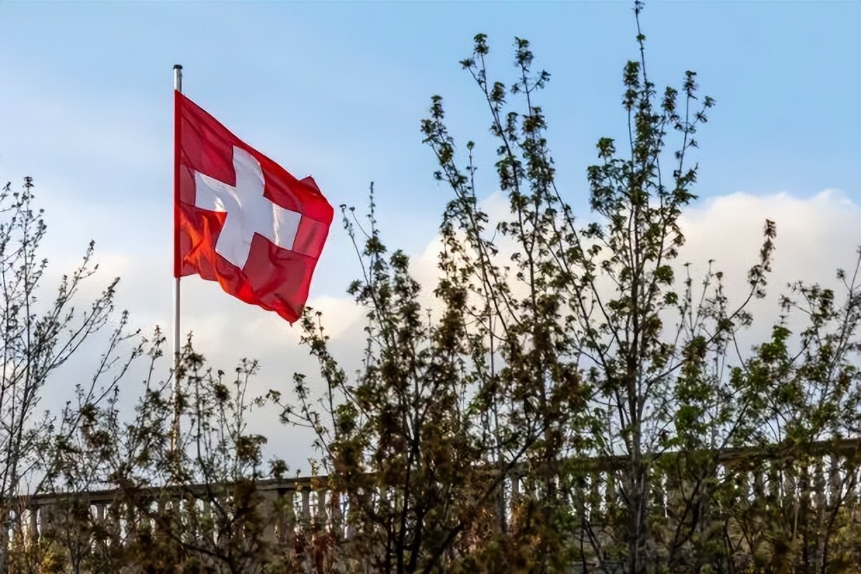 瑞士留学专业攻略,瑞士留学分享