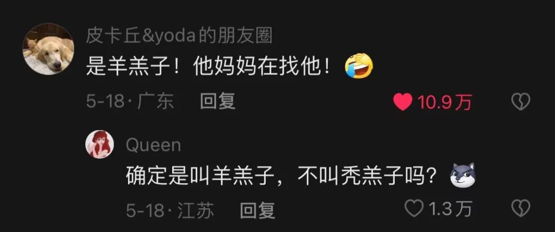 金毛误入地铁站后续,金毛闯地铁