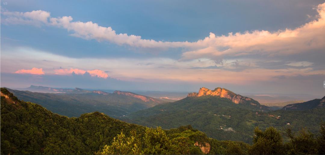剑阁杯古树名木摄影大赛,保亭摄影比赛获奖作品