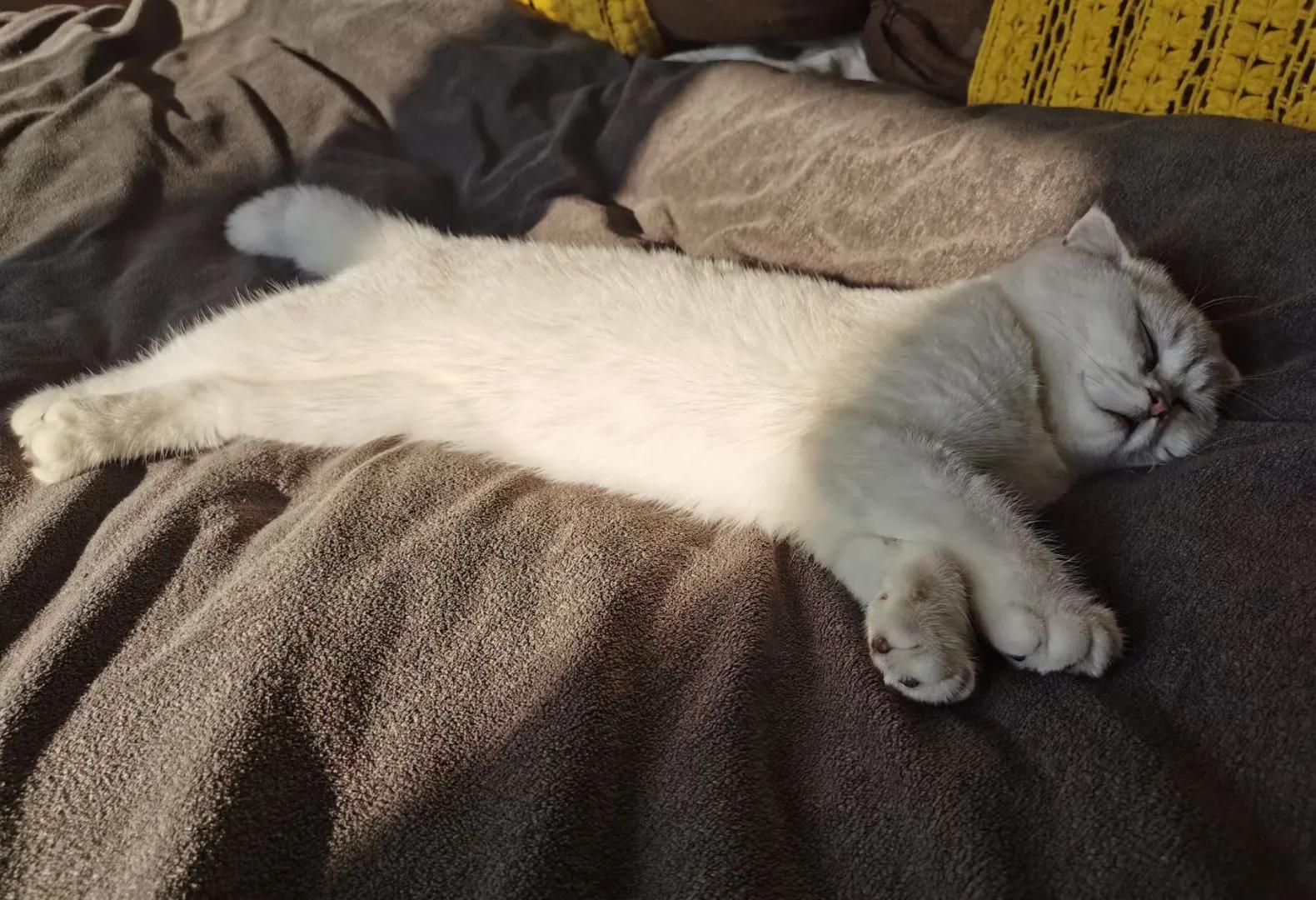 人生如棋走好属于你的那一步,人生如棋局每走一步不许回头