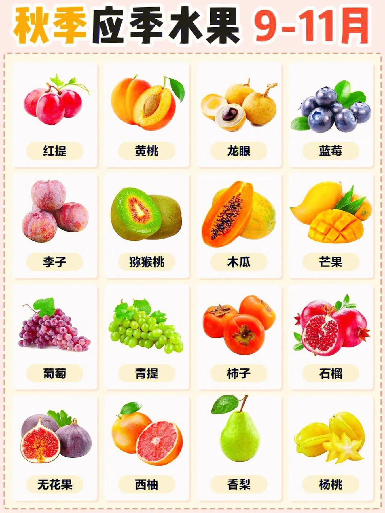 详细应季水果时间表大全,简单水果店一年应季水果时间表