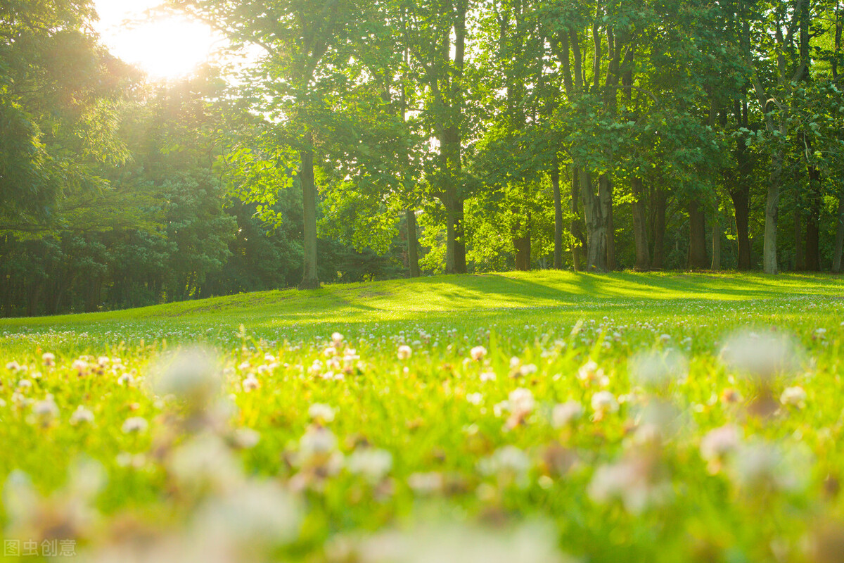 生命有星光大结局下,生命有星光全集观看