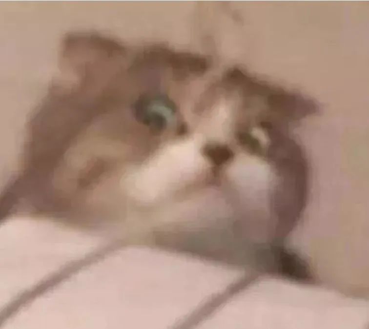 70万网友在线围观我家猫猫“搞黄色”：越看越上头，越看越变态