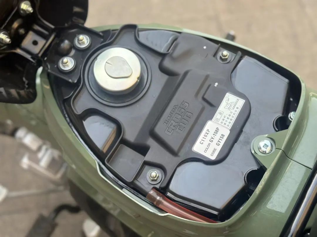 本田幼兽cc110盲盒,本田幼兽110cc