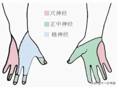 周围神经病和外周神经病,周围神经病