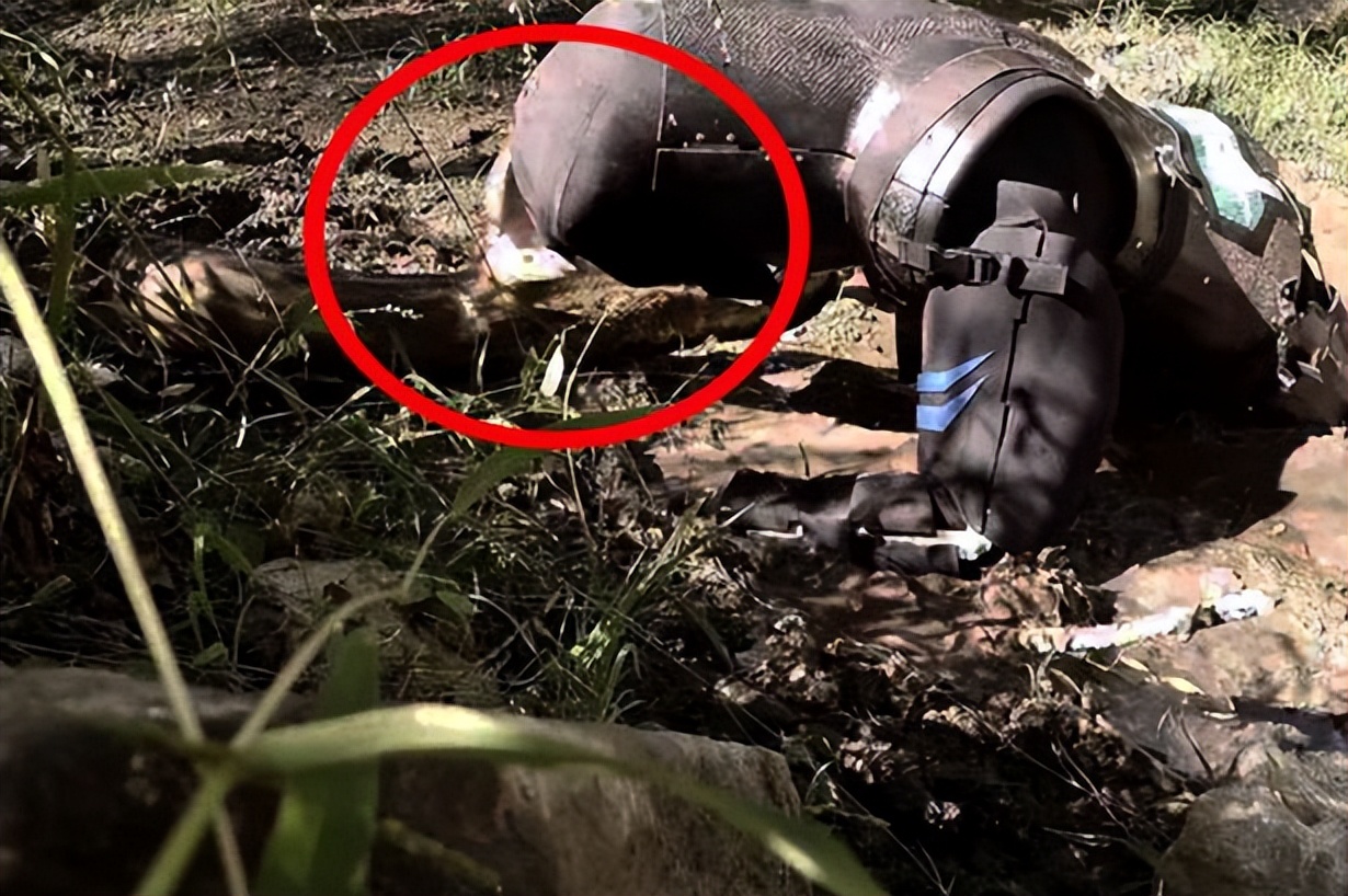 如果你突然被蛇吞下，能否划开蛇肚出逃？科学家作死实验走进蛇窝