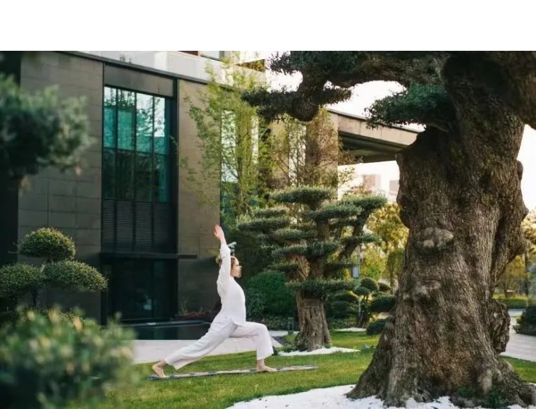 康养度假之地,生态康养游还是康养度假游