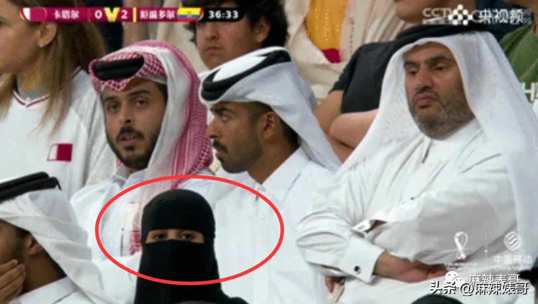 金晨模仿卡塔尔小王子晒照,金晨模仿卡塔尔王子被起诉了吗