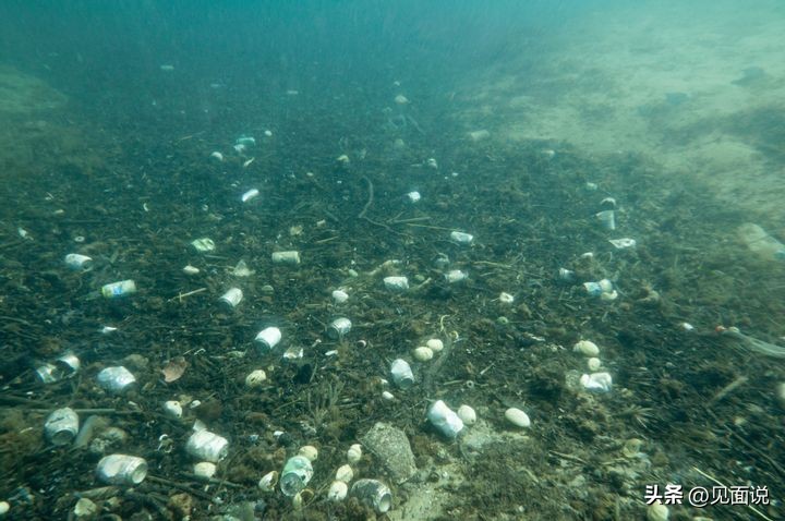 蓝洞潜水全过程,潜水员第一视角海底宝藏
