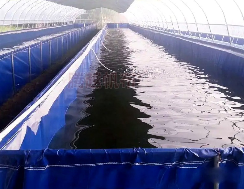 帆布鱼池淡水养殖应具备什么条件,镀锌板帆布鱼池养甲鱼周期