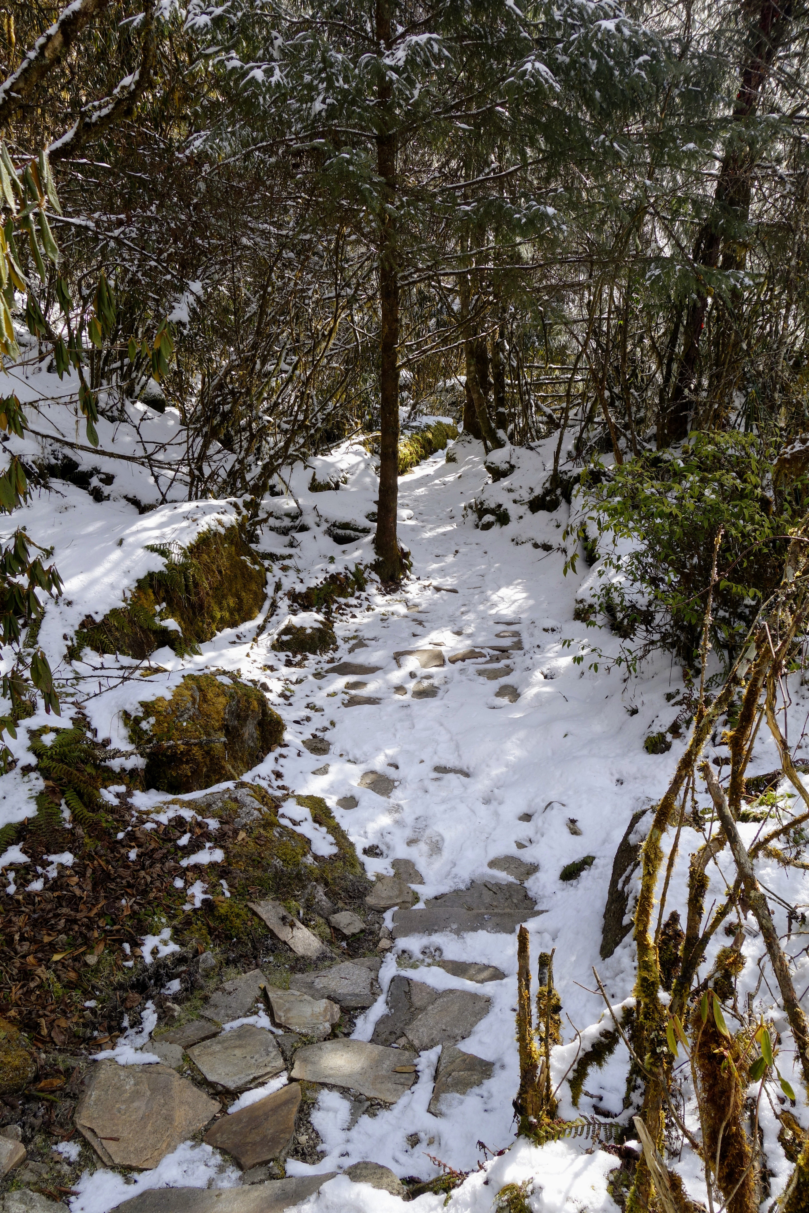 川西圣境游玩攻略,甘孜燕子沟攻略