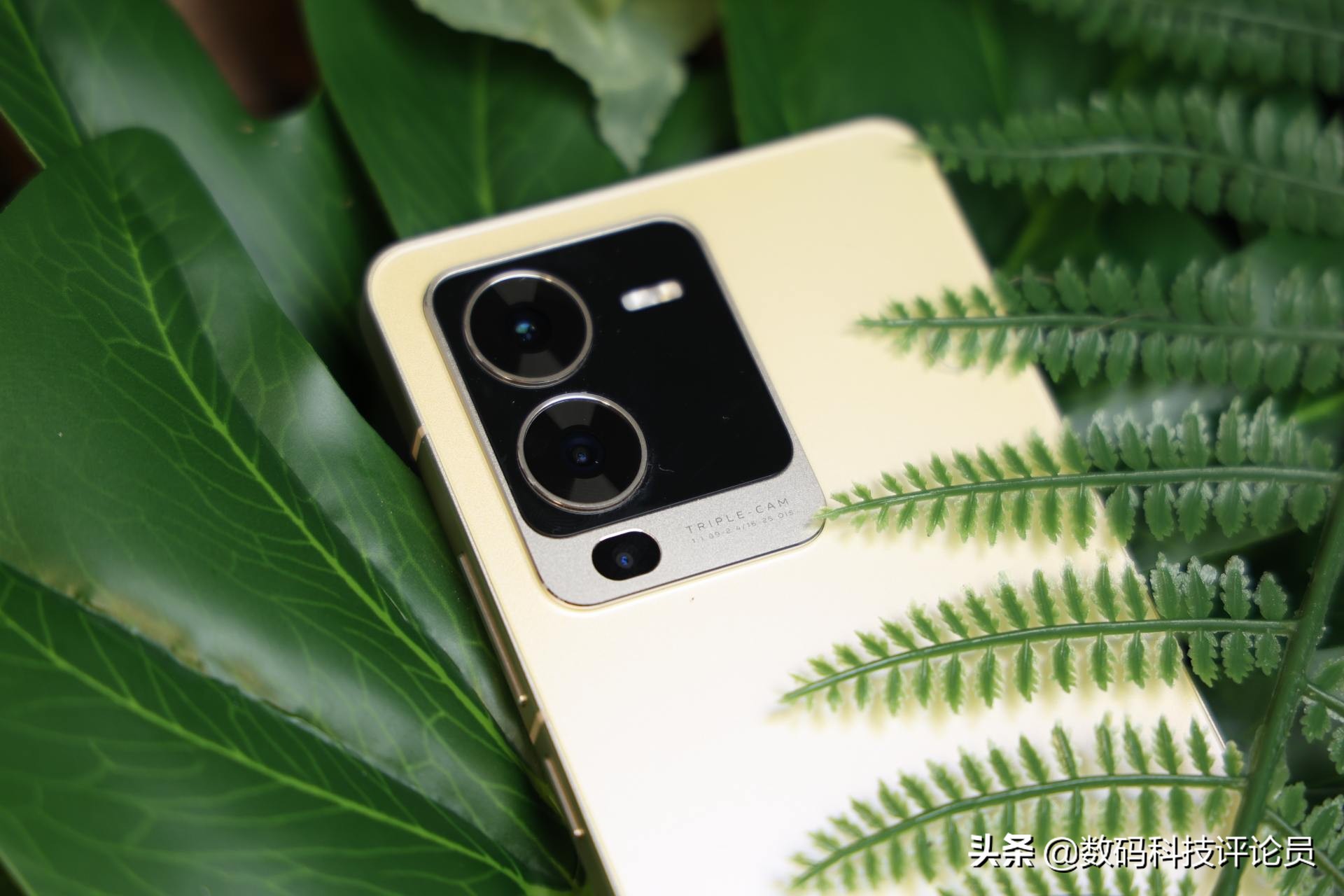 vivos15是用的骁龙870巅峰版吗,vivos15骁龙870巅峰版与普通版