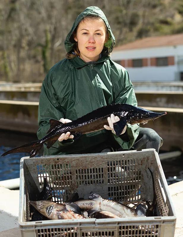 最好养的观赏鱼冷水鱼有哪些中型,冷水鱼有哪些观赏鱼比较好看