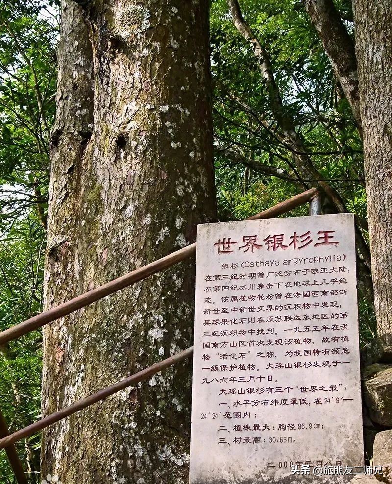 金秀圣堂湖在圣堂山吗,广州南浦出发一日游