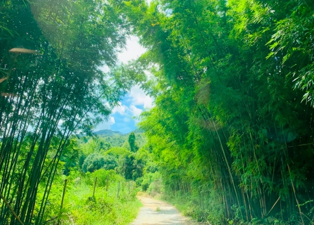 我的大柴切，居家旅行都能胜任