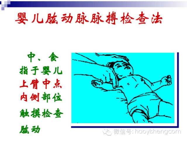 心肺复苏ppt课件免费下载,新生儿心肺复苏ppt课件