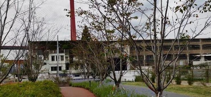 宁波申洲老板马建荣,马建荣宁波