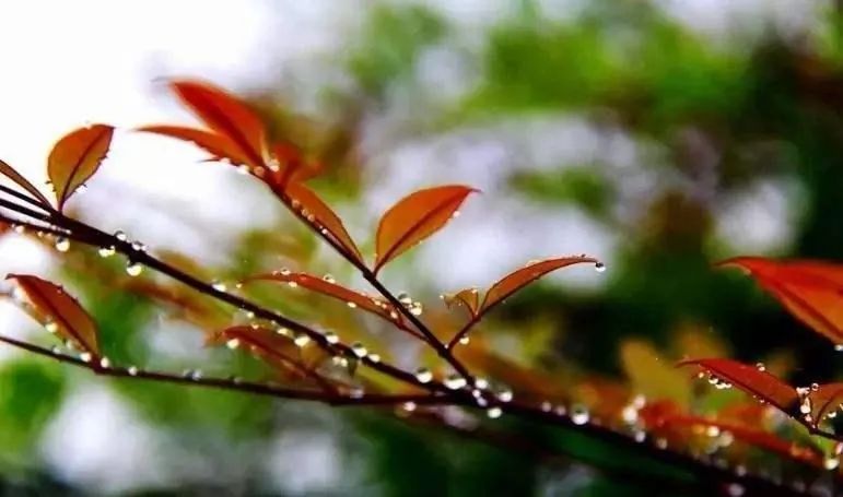 当你心里烦躁时该如何解决,当感到心烦意乱的时候