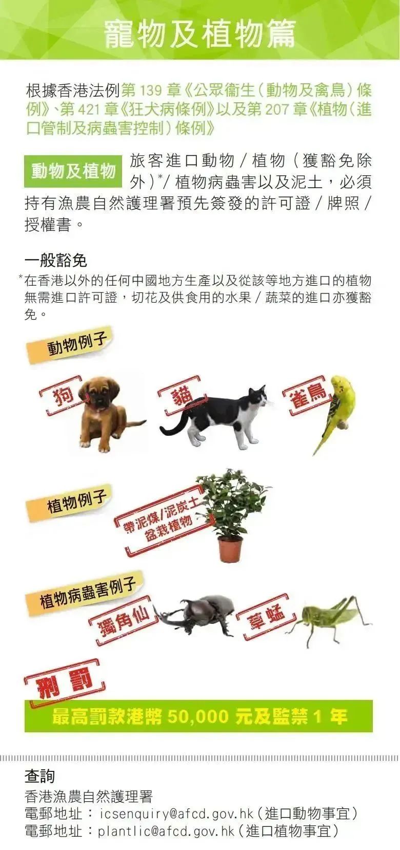 去香港入境需要带够钱,入境香港过关须知