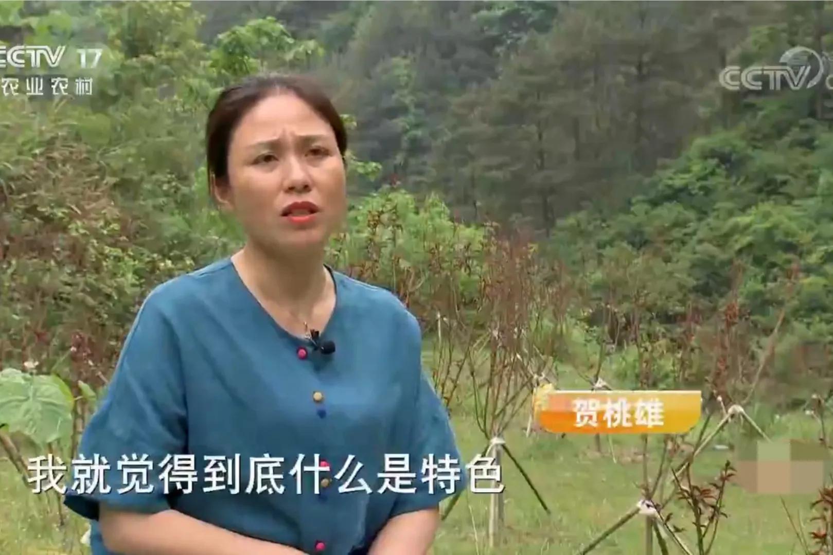 湖南女子投资180万开农庄日入2位数,如今靠柴火鸡年销售额1000万