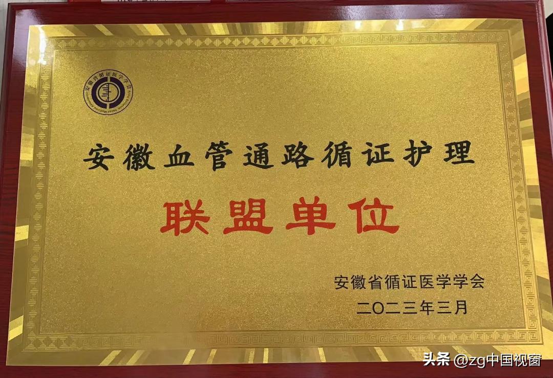 定远县总院成功获得“安徽血管通路循证护理联盟”单位称号