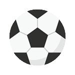 岳池县第八届中小学生足球比赛,岳池县第九届小学足球比赛