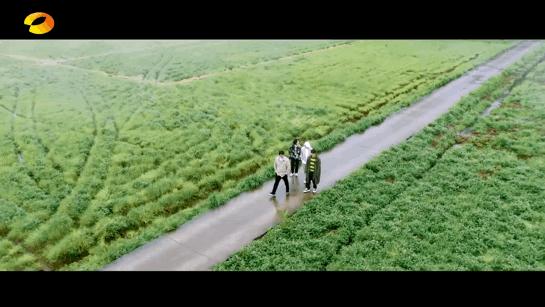 阳后第三天,阳后第3天转阴