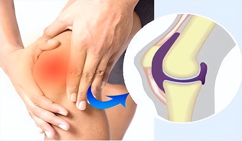 人体无用的6种器官是什么,人体最鸡肋的器官